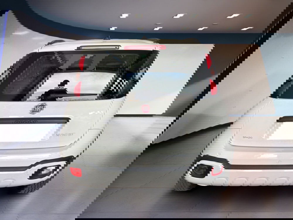 Fiat Panda Cross usata a Torino (5)