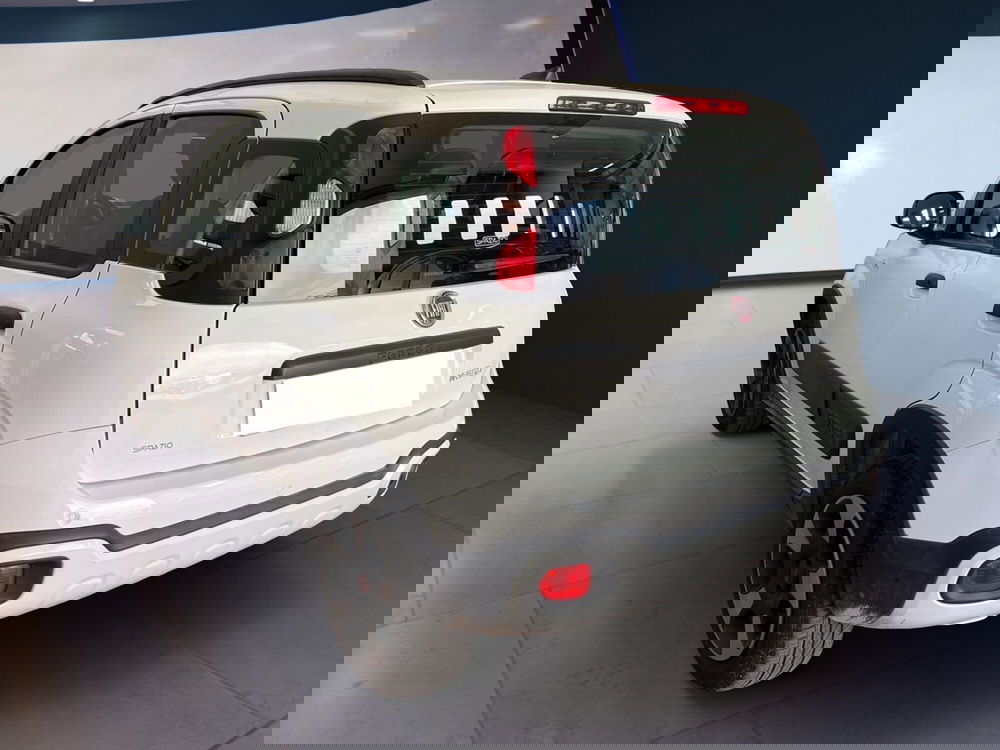 Fiat Panda Cross usata a Torino (6)