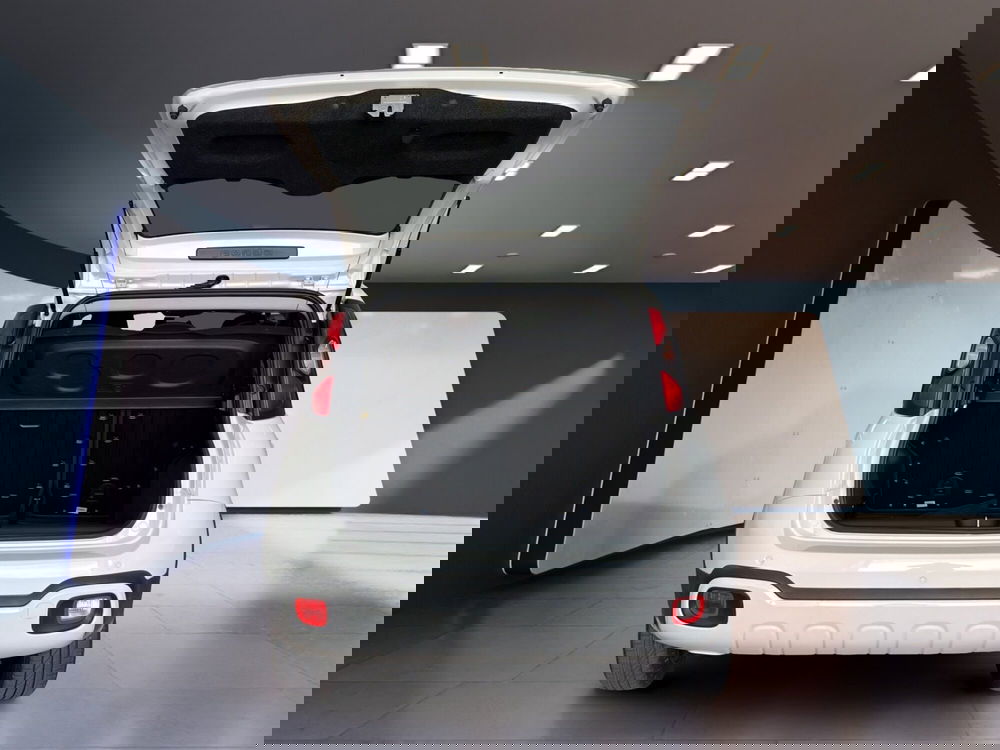 Fiat Panda Cross usata a Torino (7)