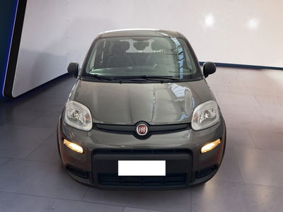 Fiat Panda 1.0 firefly hybrid s&amp;s 70cv 5p.ti del 2022 usata a Torino