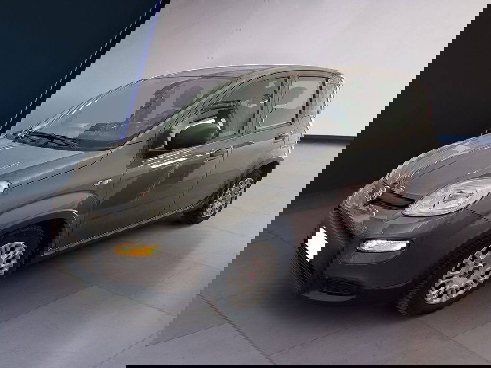 Fiat Panda usata a Torino (2)