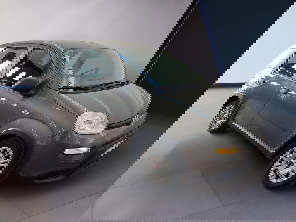 Fiat Panda usata a Torino (3)