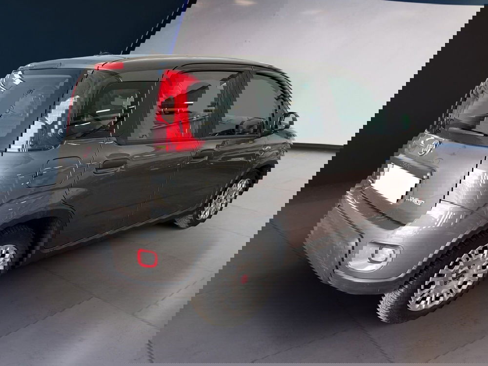 Fiat Panda usata a Torino (4)