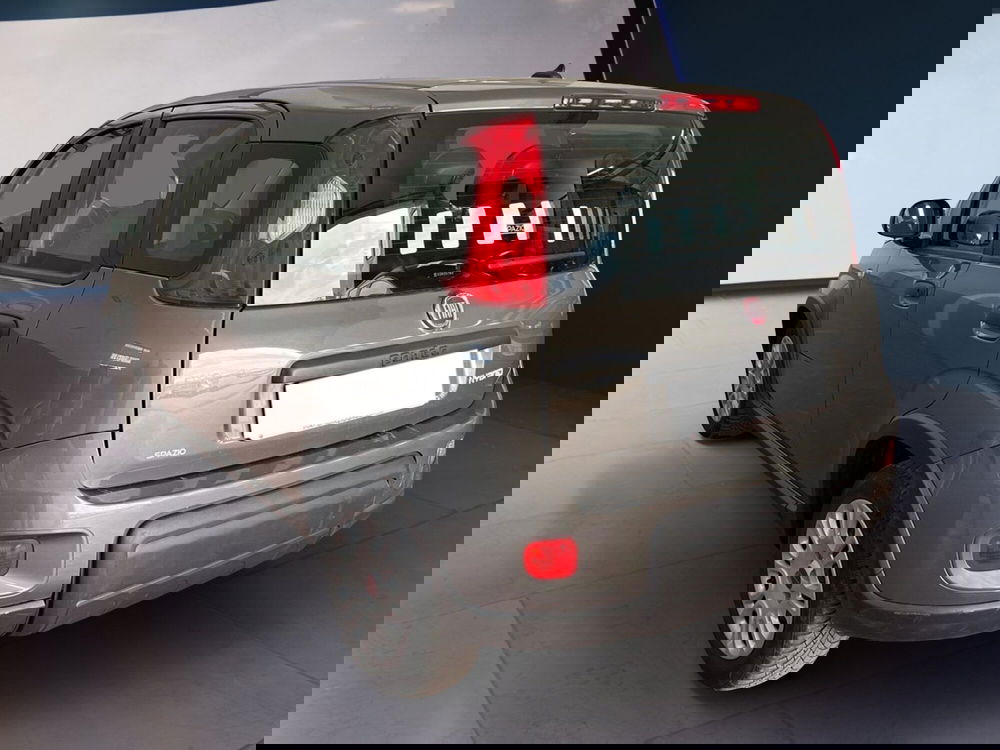 Fiat Panda usata a Torino (6)