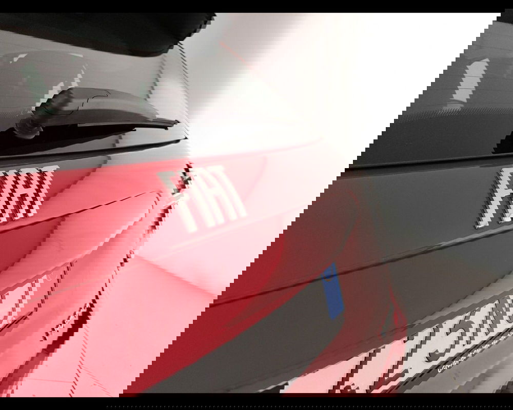 Fiat 600 nuova a Caserta (10)