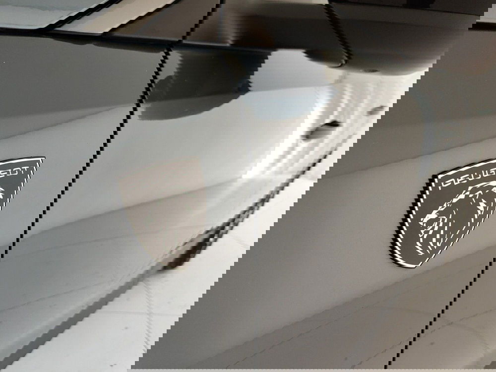 Peugeot 3008 usata a Caserta (14)