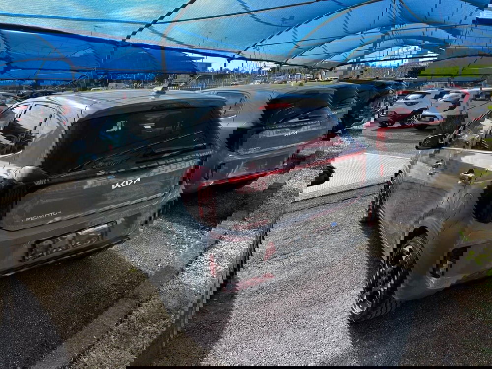 Kia Picanto nuova a Cremona (5)