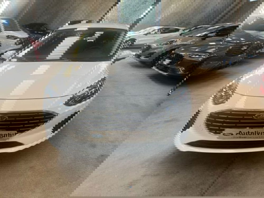 Ford Fiesta usata a Lodi (2)