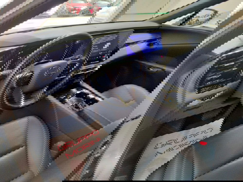 Lexus RX usata a Modena (9)