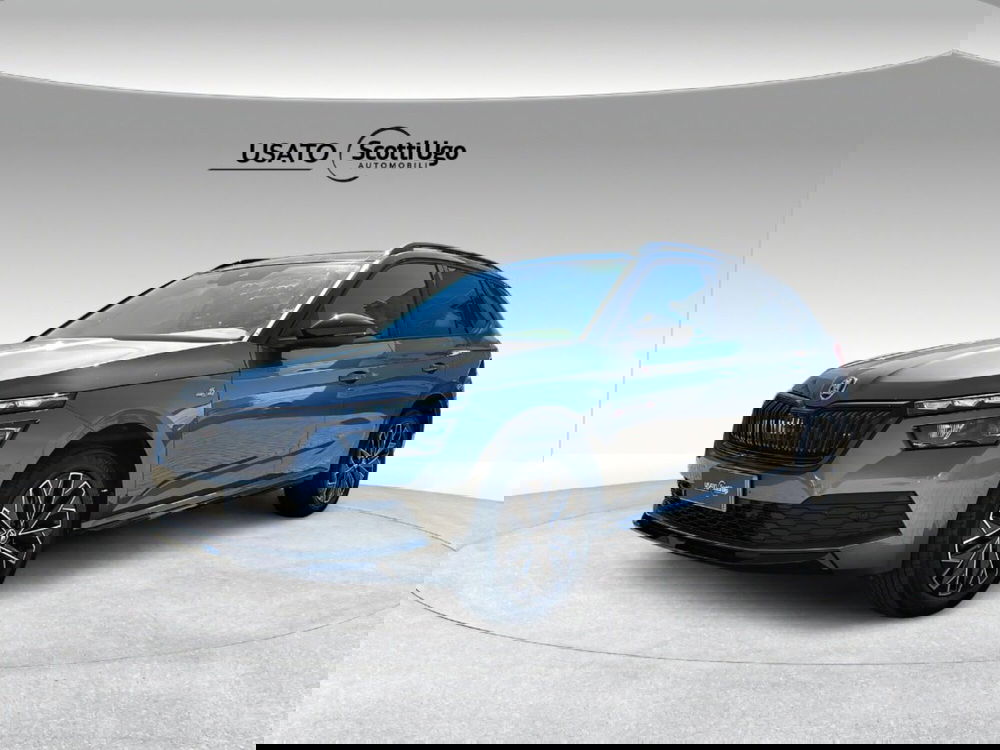 Skoda Kamiq usata a Firenze