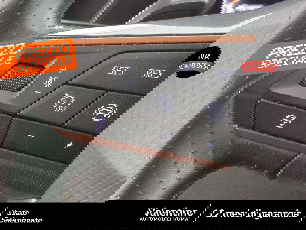 Cupra Formentor usata a Roma (13)