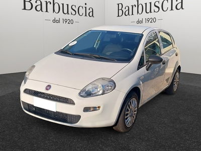 Fiat Punto 1.4 8V GPL 5 porte Van Pop 4 posti del 2018 usata a Montesilvano