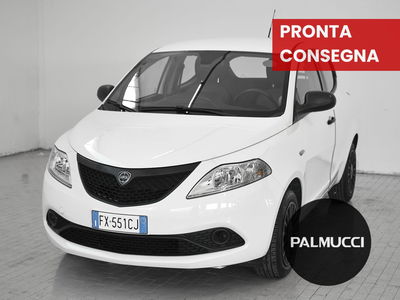 Lancia Ypsilon 1.2 69 CV 5 porte Elefantino Blu del 2019 usata a Prato