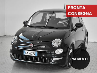 Fiat 500 1.0 Hybrid Dolcevita del 2023 usata a Prato