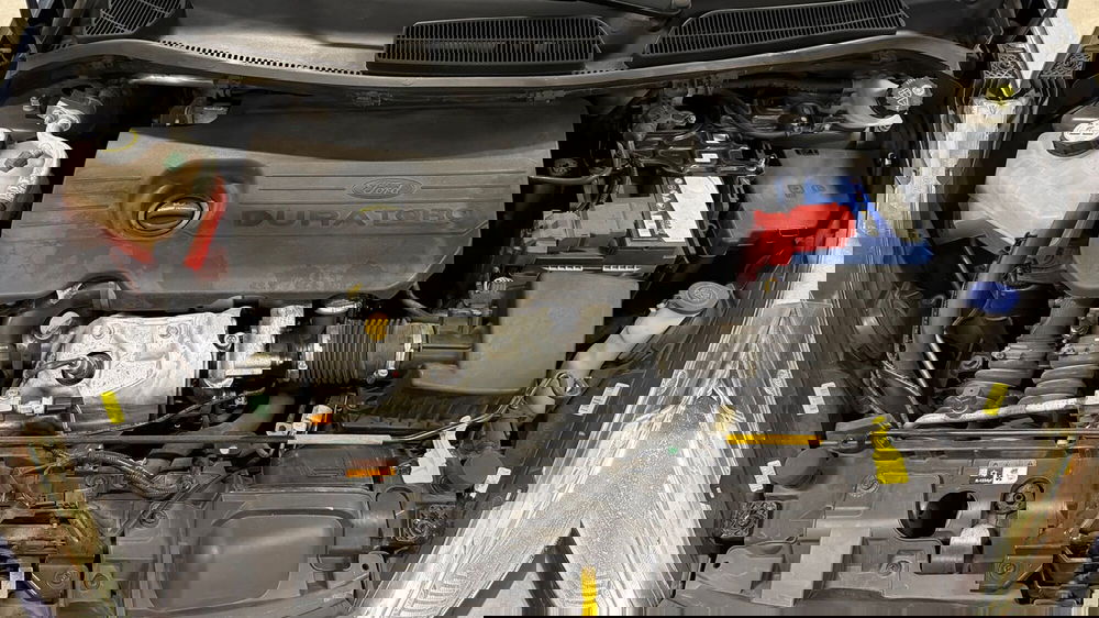 Ford Fiesta usata a Treviso (15)