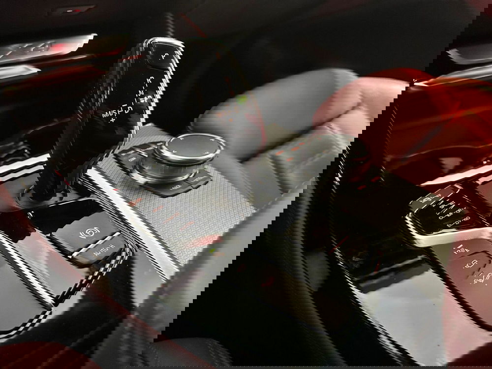 BMW X4 usata a Cuneo (9)