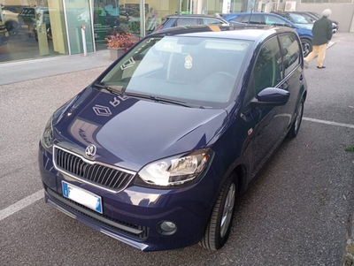 Skoda Citigo 60 CV 5 porte Ambition del 2017 usata a Dolce&#039;