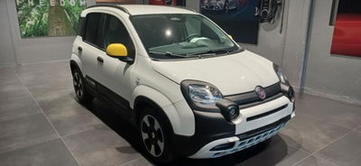 Fiat Panda 1.0 firefly hybrid s&amp;s 70cv 5p.ti nuova a Cittadella