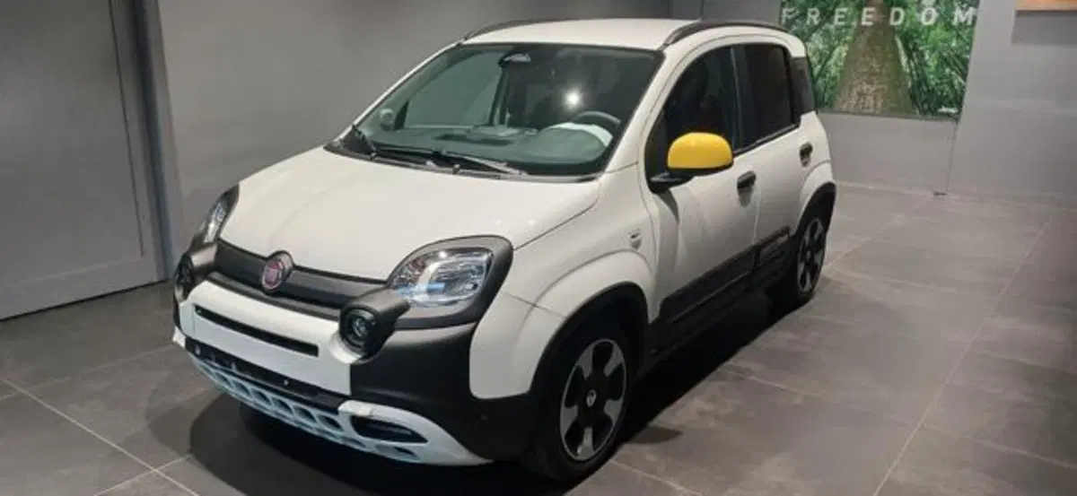 Fiat Panda nuova a Padova (2)