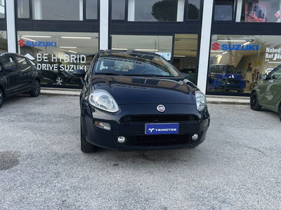 Fiat Punto 1.4 8V 5 porte Natural Power Street del 2017 usata a Corropoli
