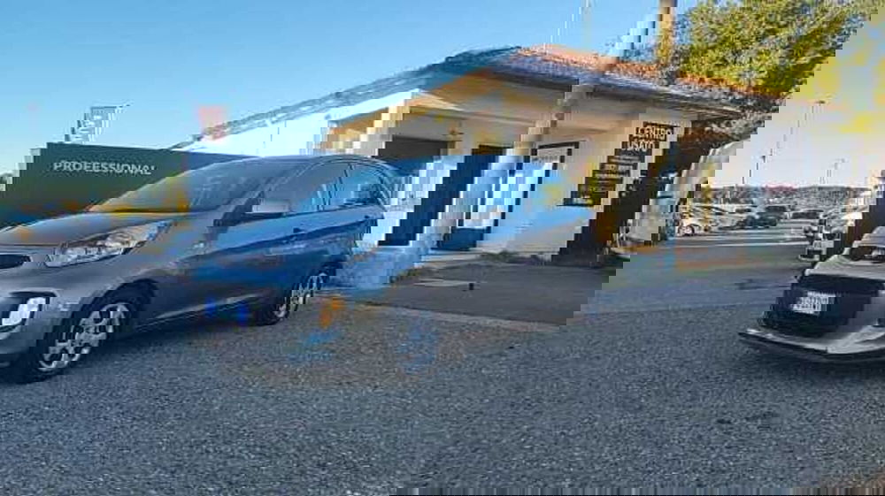 Kia Picanto usata a Firenze