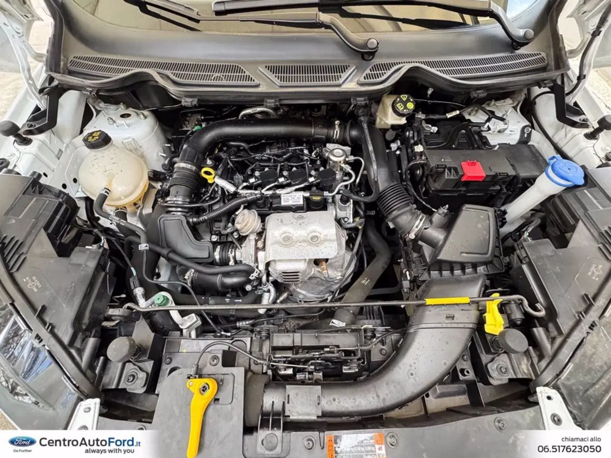 Ford EcoSport usata a Roma (11)