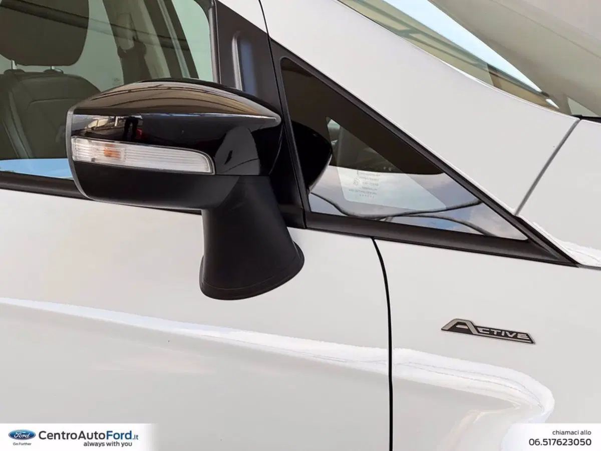Ford EcoSport usata a Roma (15)