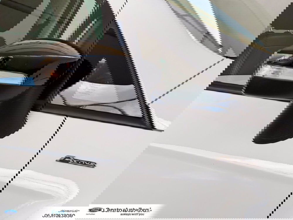 Ford EcoSport usata a Roma (15)