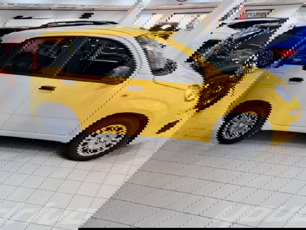 Fiat Panda nuova a Napoli (3)