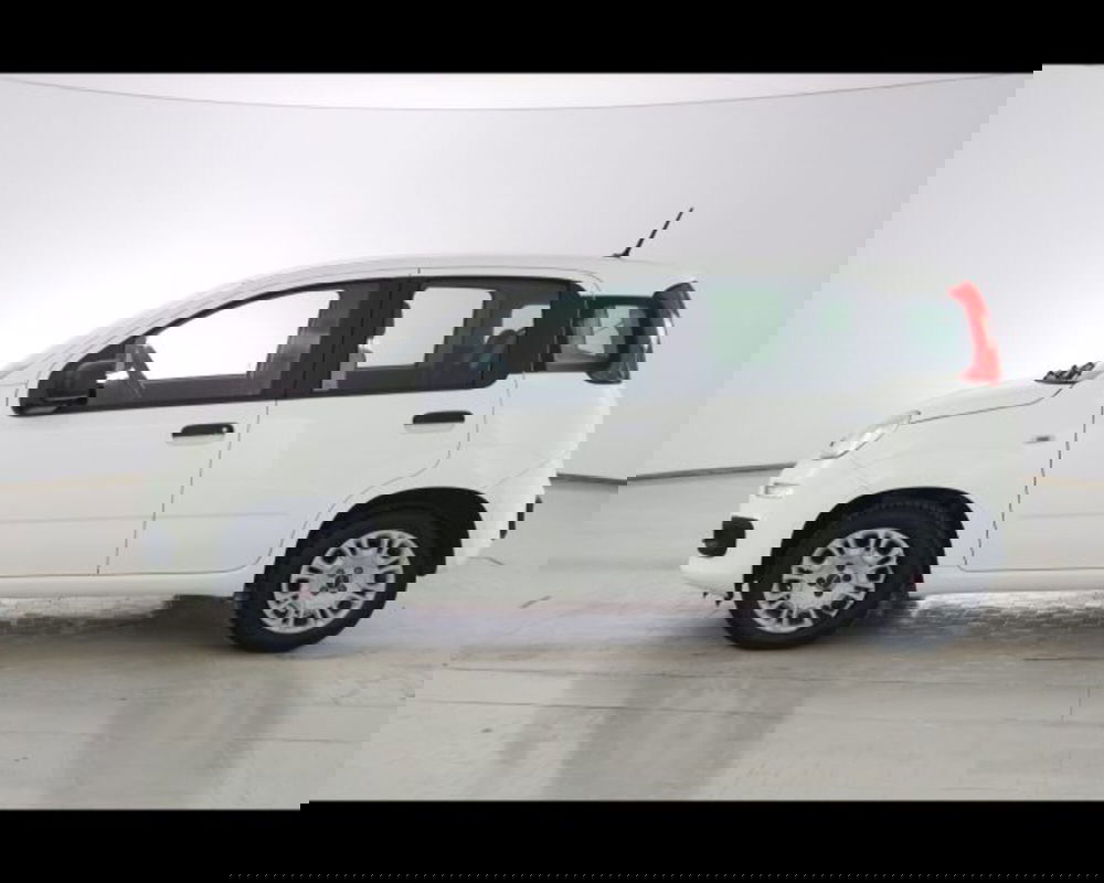 Fiat Panda usata a Bologna (8)