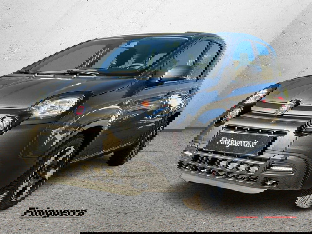 Fiat Panda usata a Sondrio