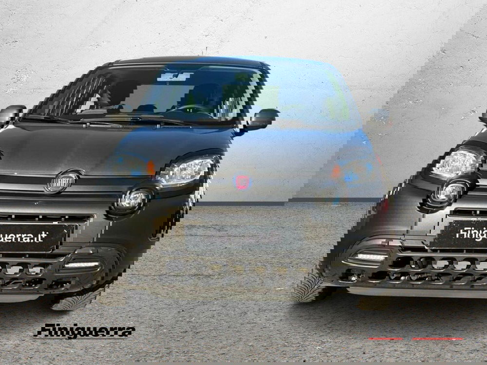 Fiat Panda usata a Sondrio (2)