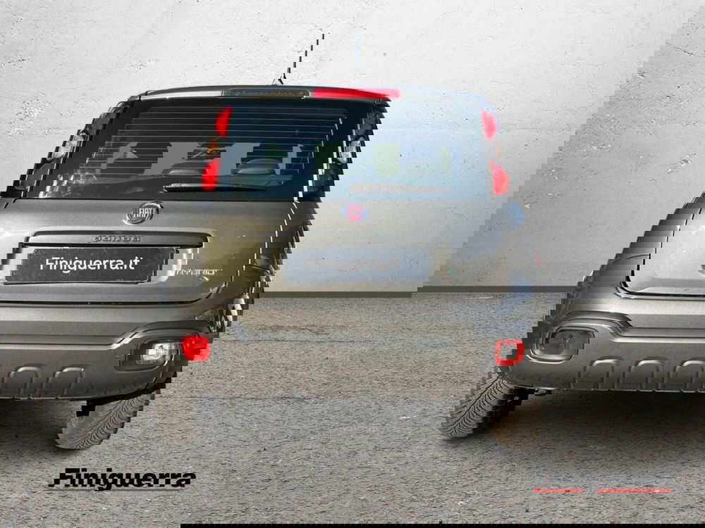 Fiat Panda usata a Sondrio (3)