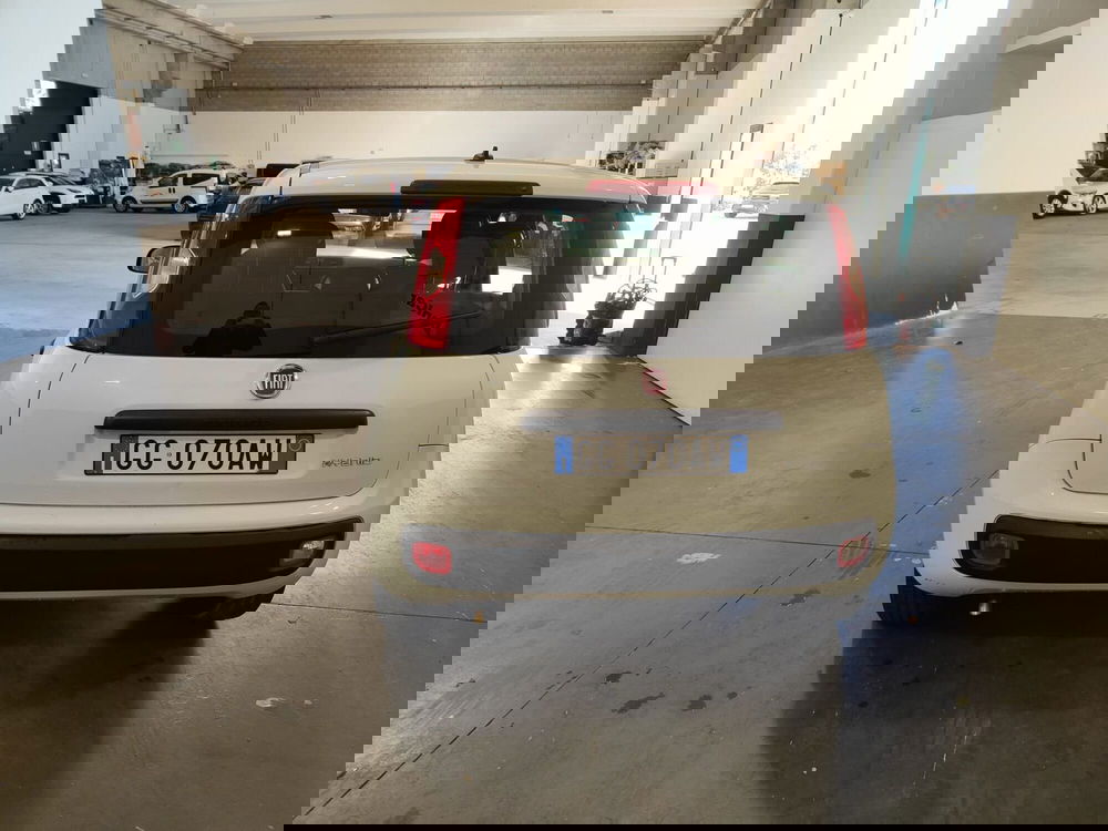 Fiat Panda Cross usata a Milano (8)