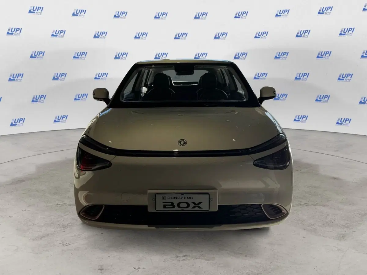 Dongfeng Box  nuova a Pistoia (6)