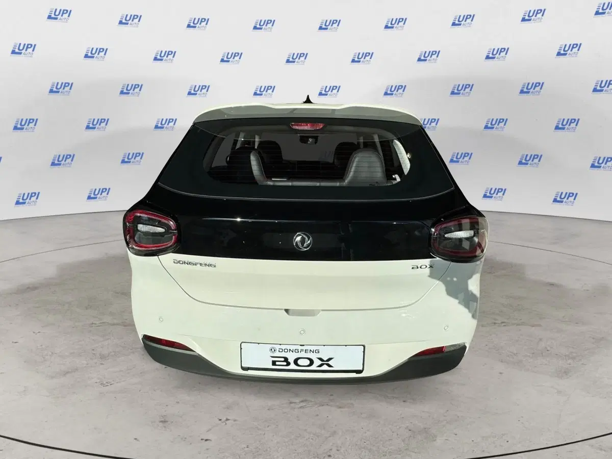 Dongfeng Box  nuova a Pistoia (7)