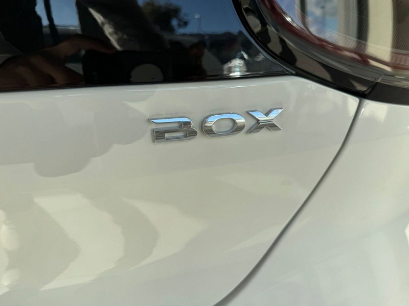 Dongfeng Box  nuova a Pistoia (8)