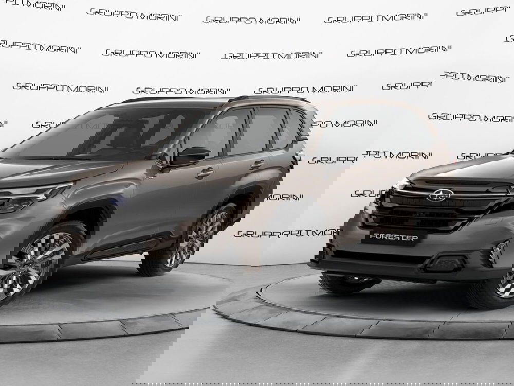 Subaru Forester nuova a Forlì-Cesena (10)