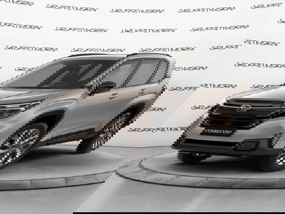 Subaru Forester nuova a Forlì-Cesena (11)