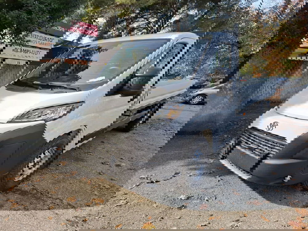 Toyota Proace Max nuova a Bologna