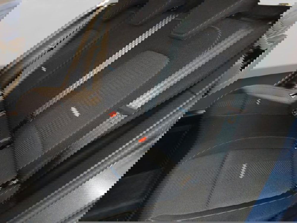 Ford Focus usata a Genova (10)