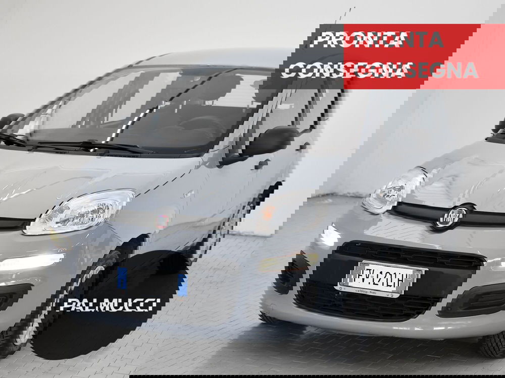 Fiat Panda usata a Prato