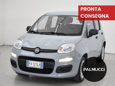 Fiat Panda 1.2 EasyPower Easy del 2019 usata a Prato