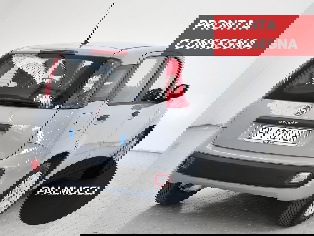 Fiat Panda usata a Prato (3)