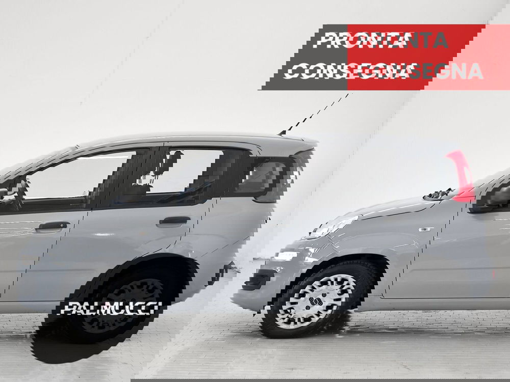 Fiat Panda usata a Prato (4)