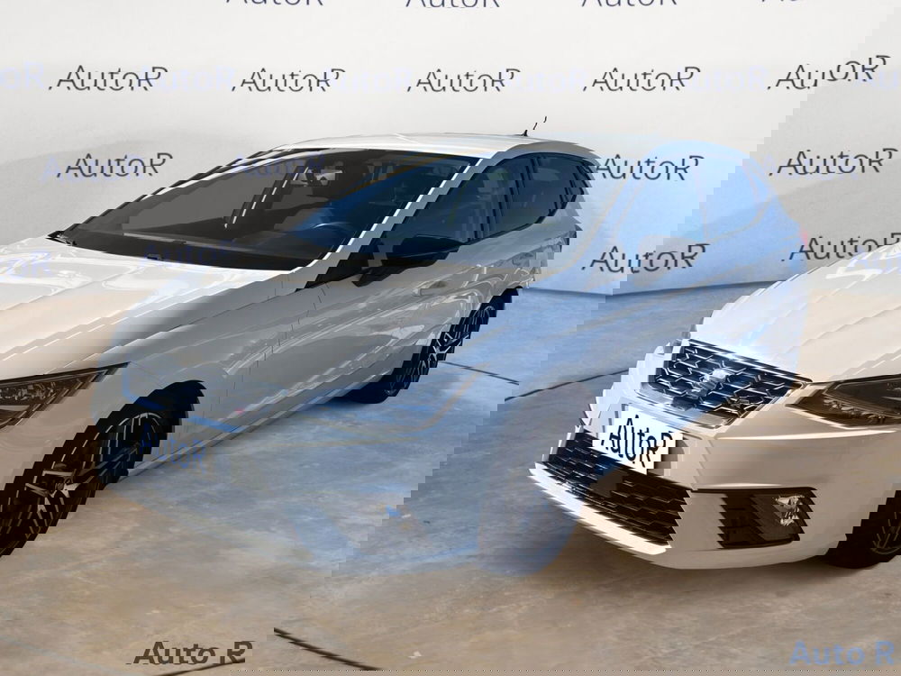 SEAT Ibiza usata a Potenza