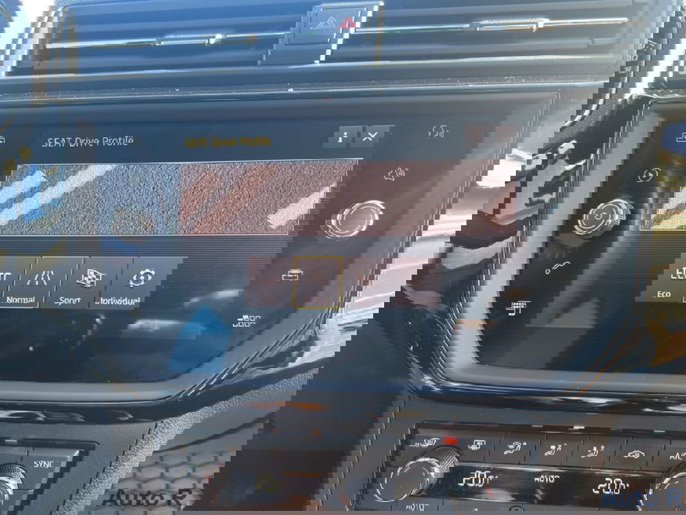 SEAT Ibiza usata a Potenza (15)