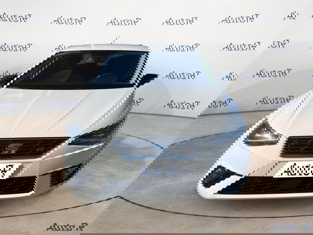 SEAT Ibiza usata a Potenza (2)