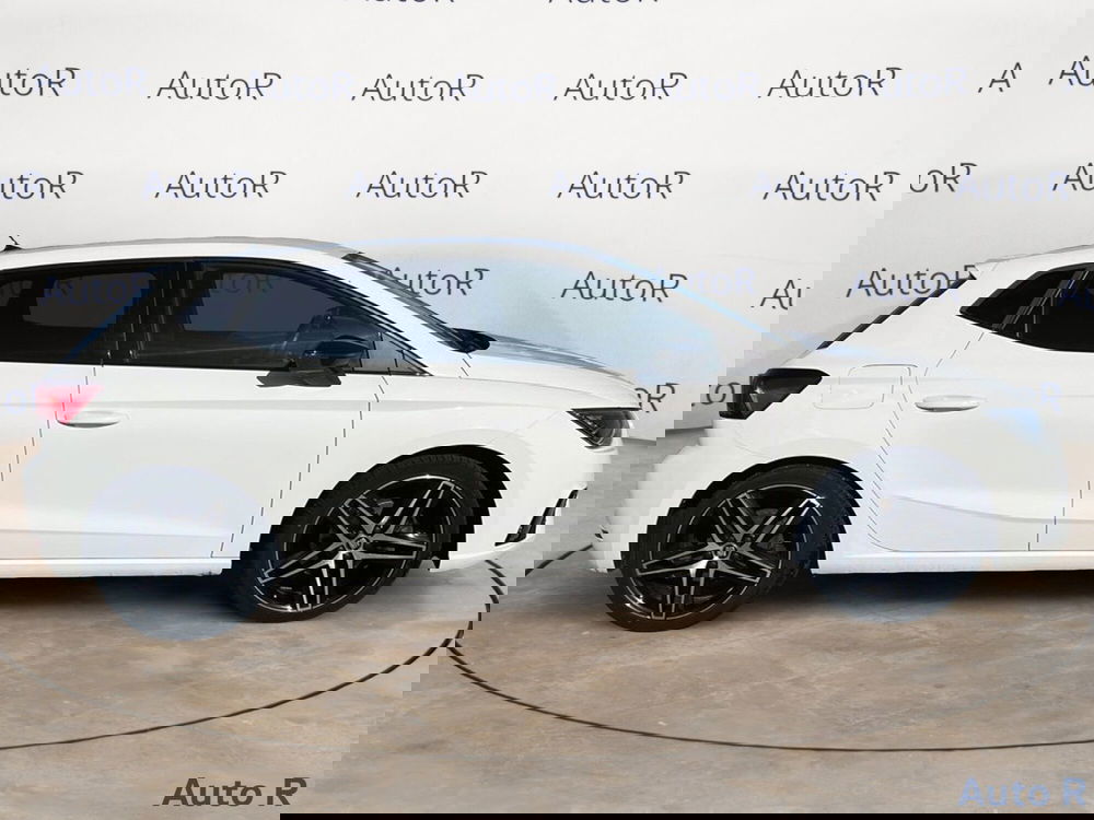 SEAT Ibiza usata a Potenza (4)