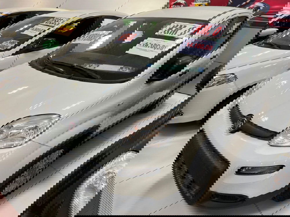 Fiat Panda nuova a Lucca